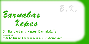 barnabas kepes business card